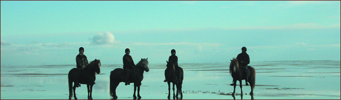 Reise-Bausteine Argentinien - Misiones – Argentinien zu Pferd