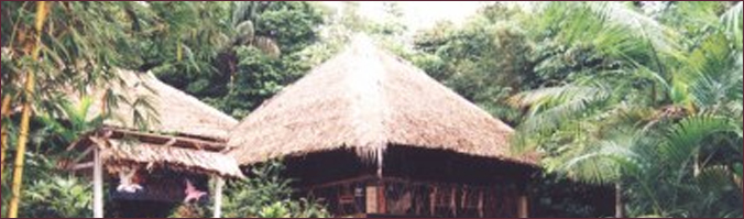Reise-Bausteine Brasilien - Amazonas - Lodges im Dschungel