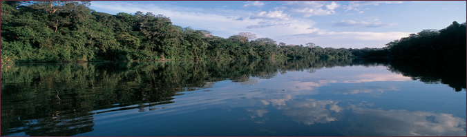 Reise-Bausteine Brasilien - Amazonas/Manaus - Metropole im Dschungel