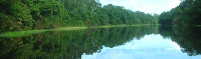 Reise-Bausteine Ecuador - Amazonas - Regenwald des Oriente